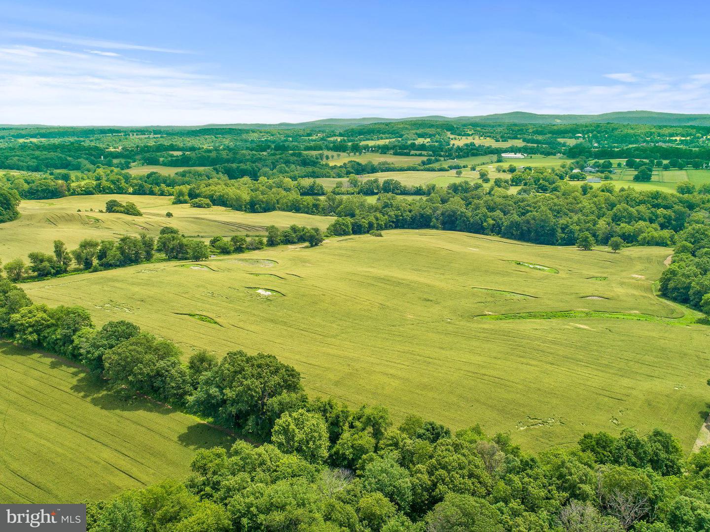 Luxury Real Estate Listings in The Plains,, Virginia, United States