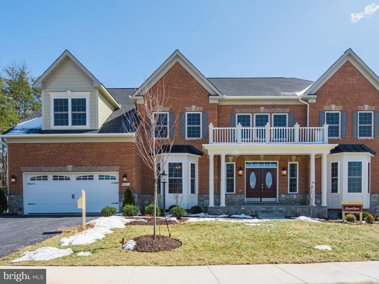 Luxury Real Estate Listings in Chantilly, Virginia, United States TTR