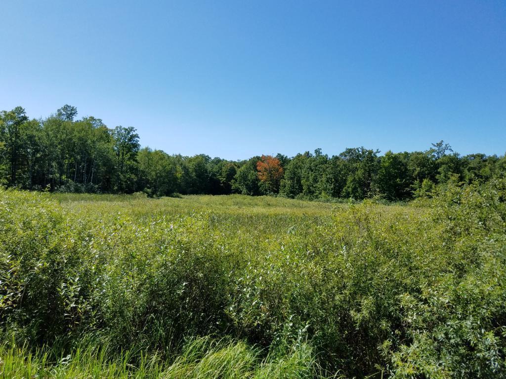 Wisconsin Hunting Acreage for Sale