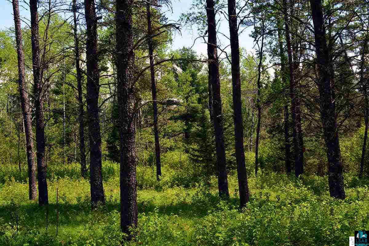 Bayfield County, Wisconsin Land for Sale