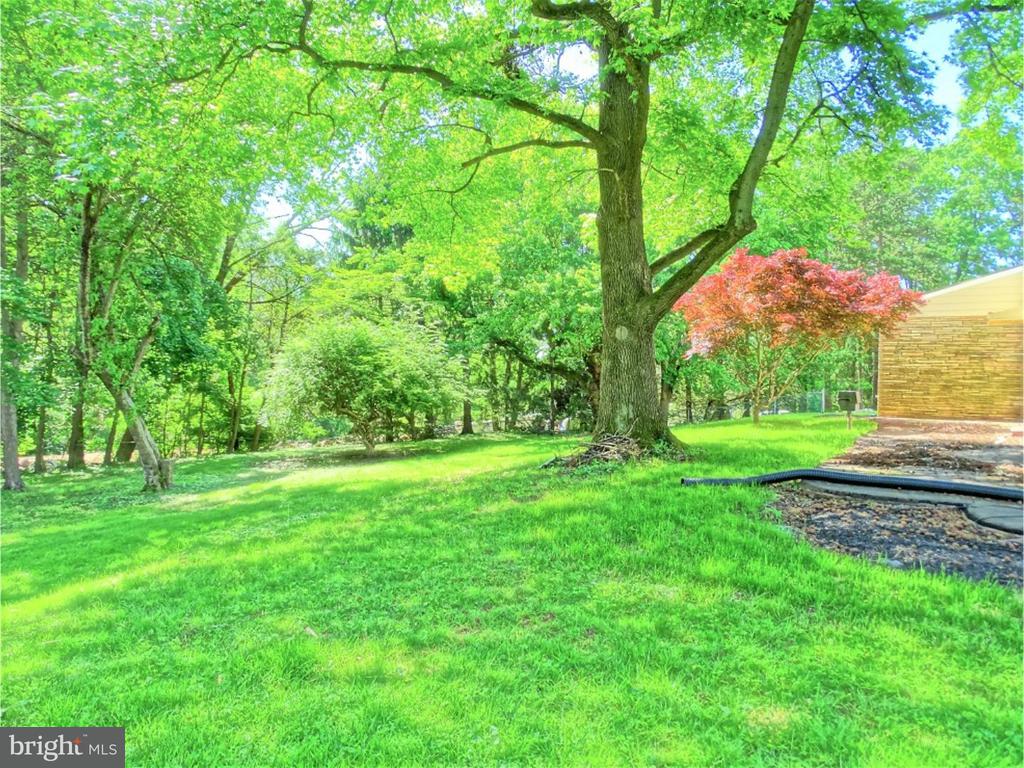 711 MARTIN ROAD